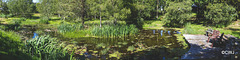 Sunny Sunday May afternoon by the pond