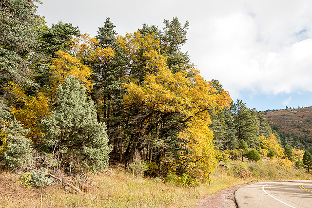 Driving to the crest of the Sandia mountains15