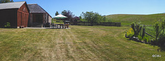 Sunshine and no rain is beginning to kill the grass...
