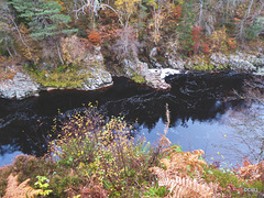 The Dunearn Burn walk - Earl of Moray's estate