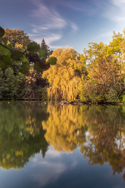 Abends im Stadtpark