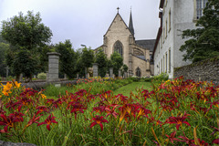 Blütenpracht im Klostergarten