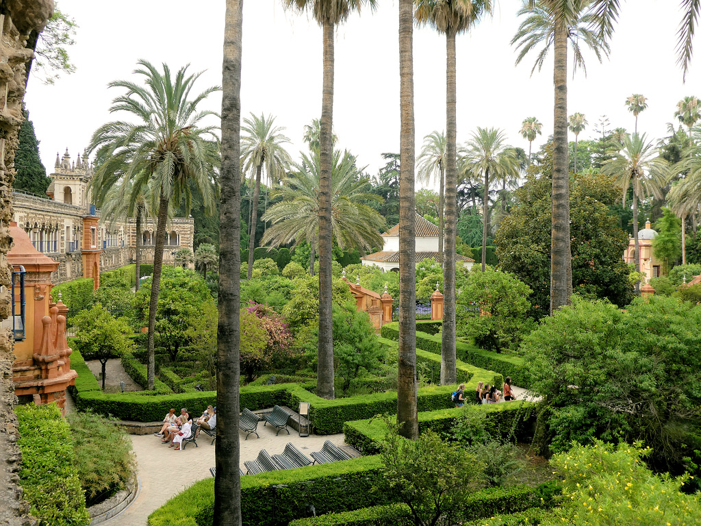 Séville / Sevilla (E) 13 juillet 2018. Jardins de l'Alcazar.