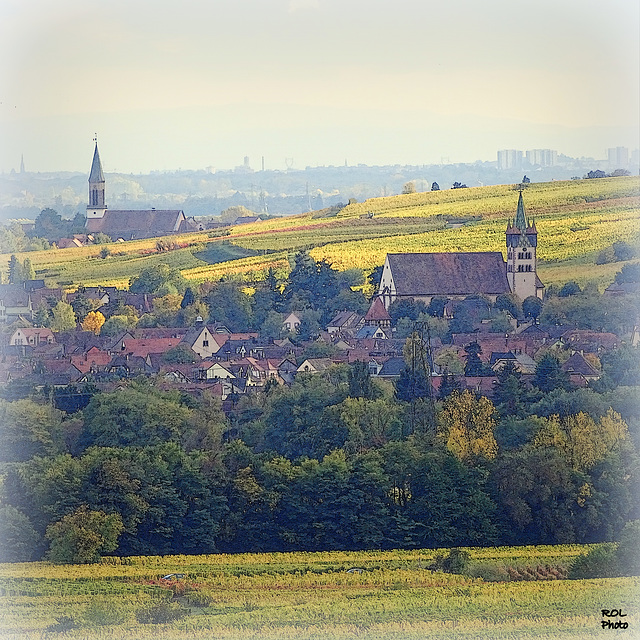 Vignoble d'Alsace