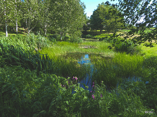 Sunny Sunday May afternoon by the pond