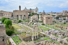 Rome 2025 – Forum Romanum