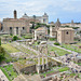 Rome 2025 – Forum Romanum