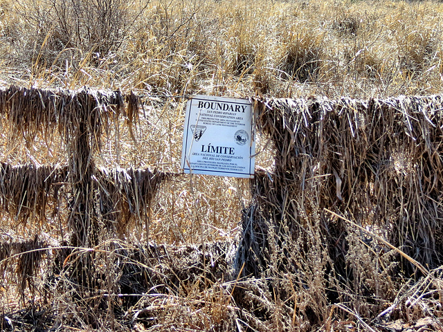 The San Pedro Riparian National Conservation Area