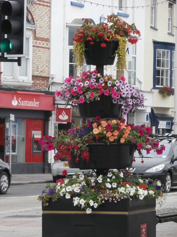 Flowers on the quay