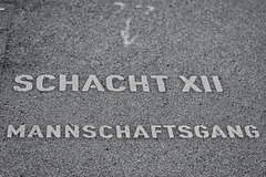 Schacht XII