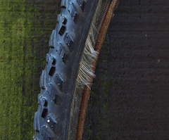 Bicycle Tyre 1