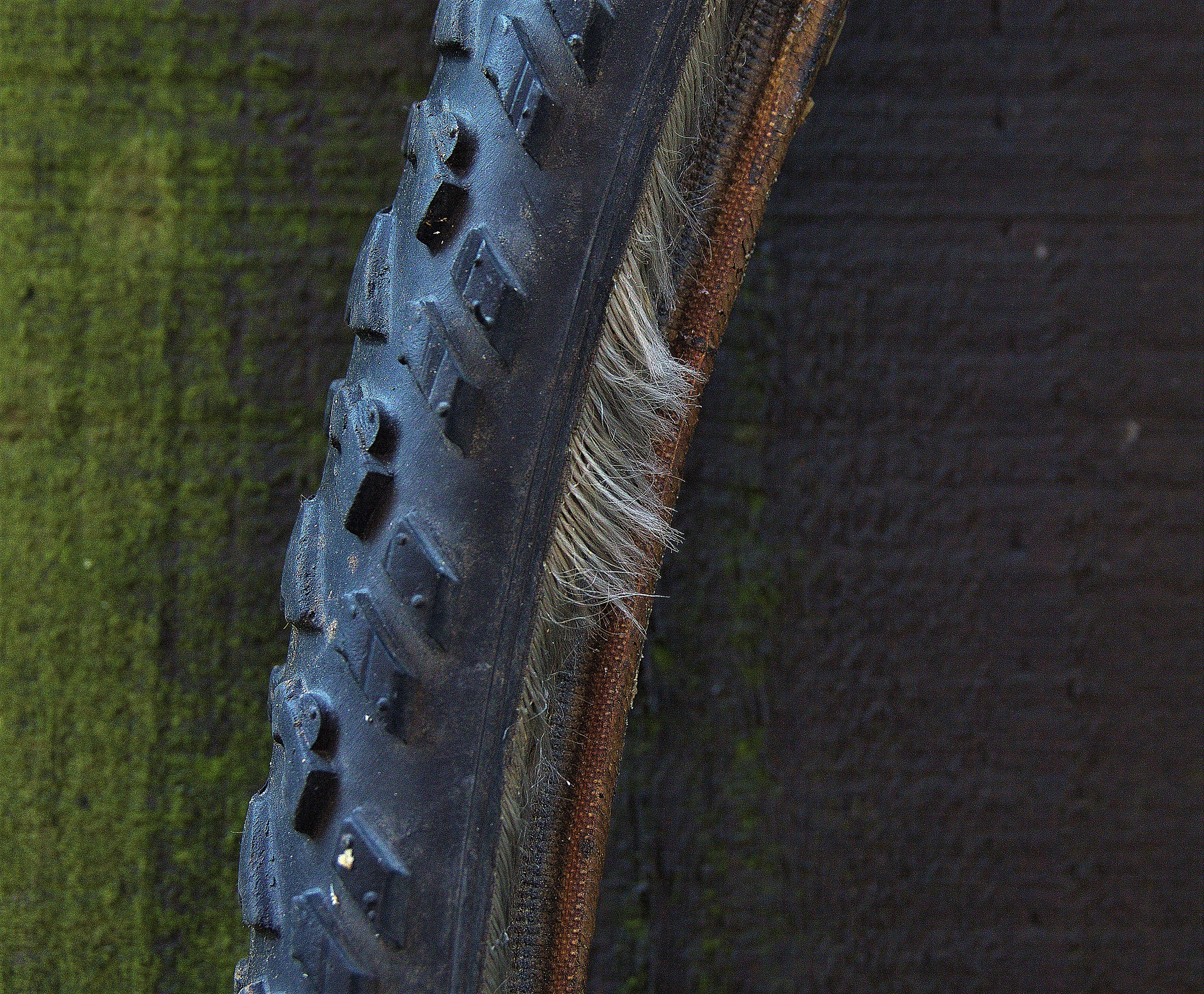 Bicycle Tyre 1
