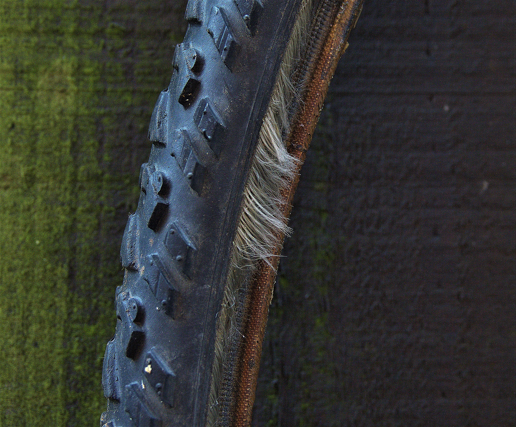 Bicycle Tyre 1