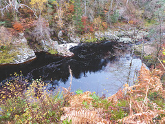 The Dunearn Burn walk - Earl of Moray's estate