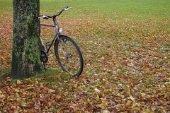 Don't leaf your bicycle unattended!