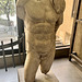 Vatican 2025 – Torso