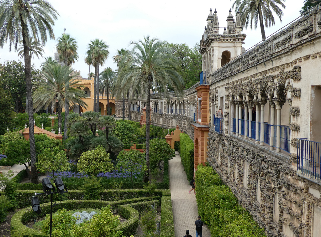 Séville / Sevilla (E) 13 juillet 2018. Jardins de l'Alcazar.