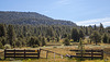 Pictures for Pam, Day 139: HFF: South Lake Tahoe Meadow