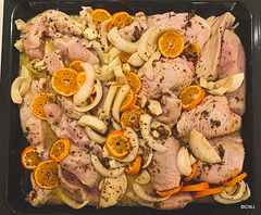 Roast Chicken with Clementines, Arak and Fennel
