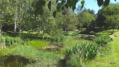 Sunny Sunday May afternoon by the pond