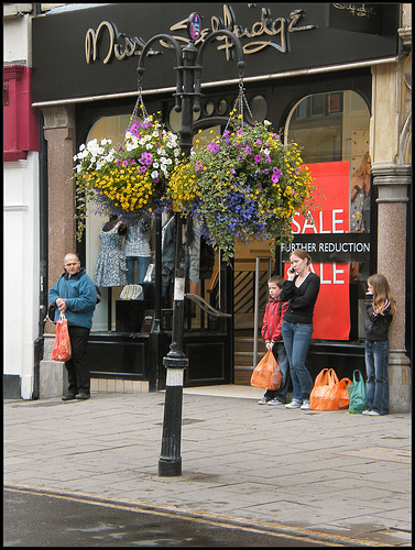 Oxford flower posts