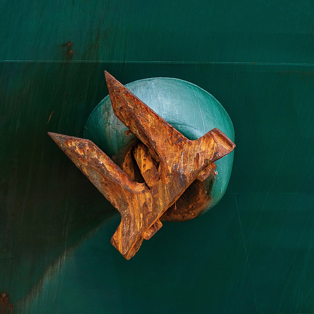 Anker der Barracuda (PiP) - Hamburg