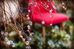 07/50 - spring is in the air
