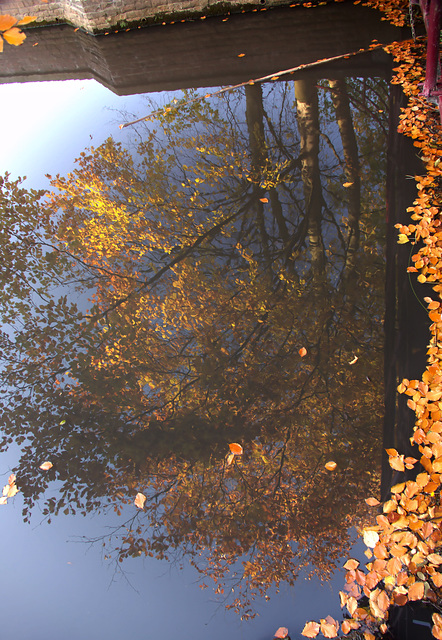 Autumn Reflections 4