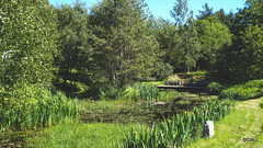 Sunny Sunday May afternoon by the pond