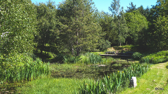 Sunny Sunday May afternoon by the pond