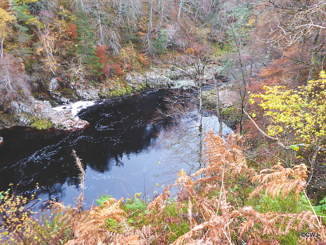 The Dunearn Burn walk - Earl of Moray's estate