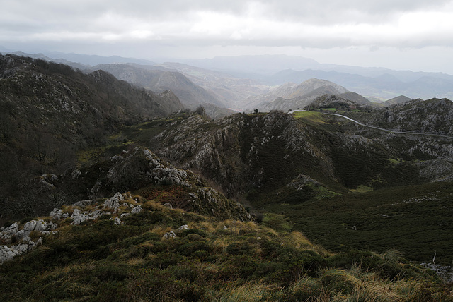 Picos de Europa