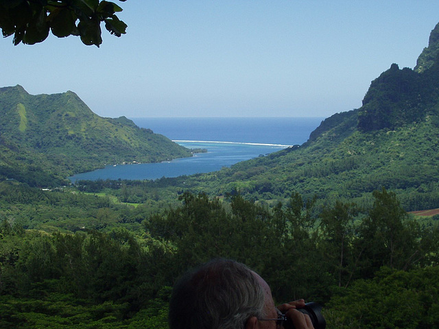 More, Opunohu Bay, January 13