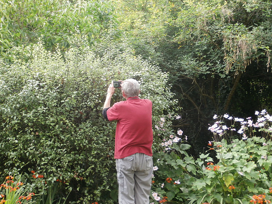 Mickey discovering a small snail on the bush