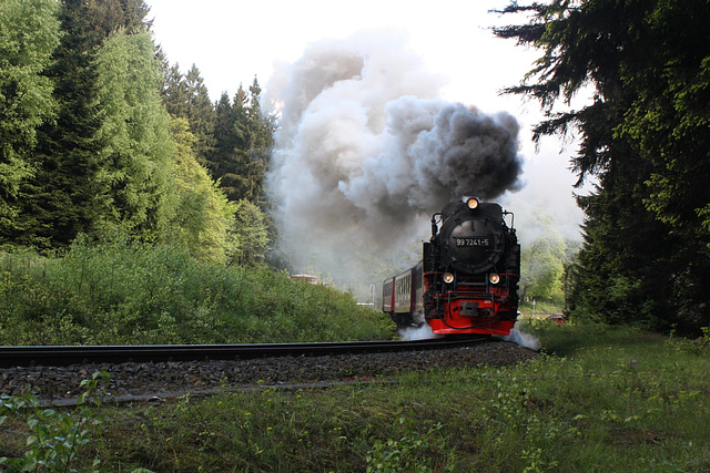 The Harz Narrow Gauge Railways