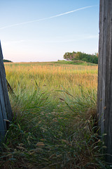 doorway 1