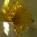 Light And Shade 5