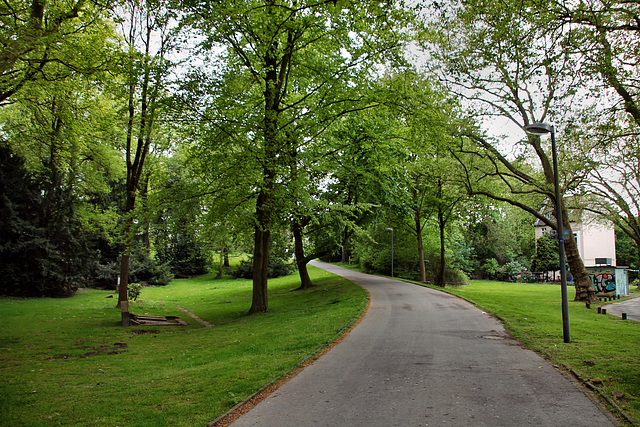 Weg im Kortumpark (Bochum) / 7.05.2022