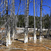 Fountain Paint Pots, Yellowstone National Park