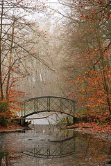 Wie klug im Herbst die Blätter sind - HFF!