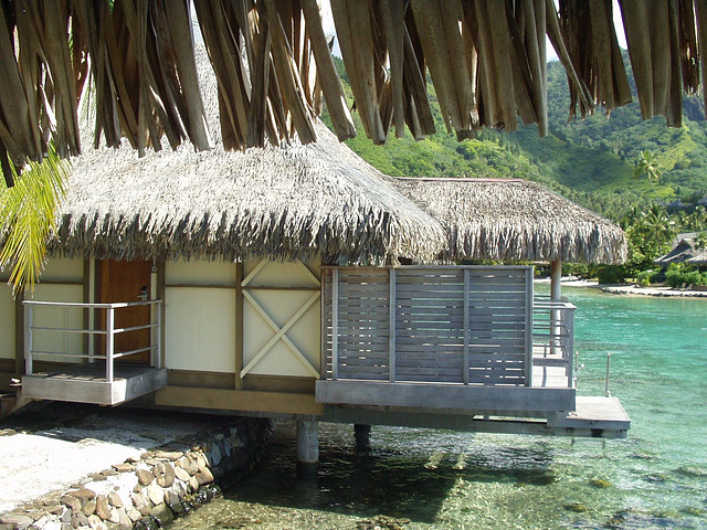 Moorea, hotel room, January 12 - 14