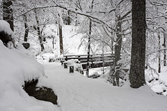 Finally the snow!  The little bridge in the forest, Oropa (Biella)