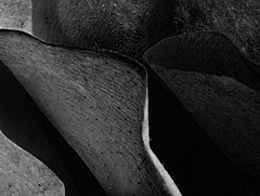 Dark disposition