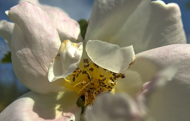 Light And Shade 4