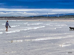 Low tide at Findhorn