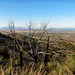 Sierra Vista and the San Pedro Valley