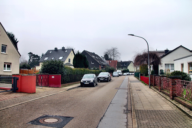 Emilstraße (Wattenscheid-Höntrop) / 17.02.2024