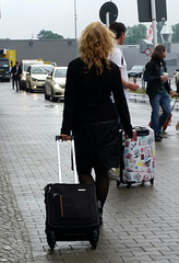 traveller
