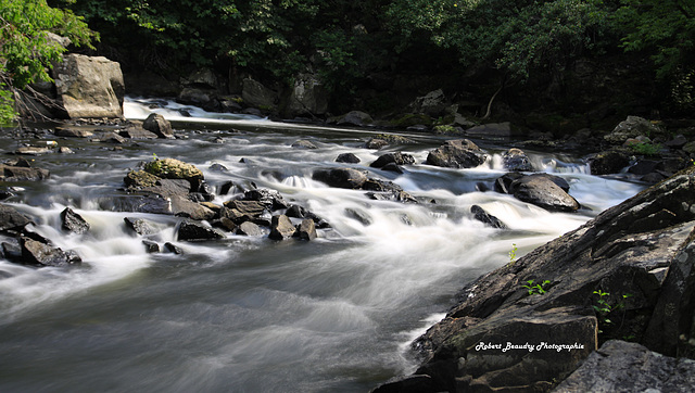 Petit ruisseau