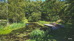 Sunny Sunday May afternoon by the pond